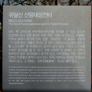 유달산 산왕대성전터 티스토리