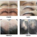 디자인시크릿
