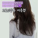 그로잉살롱 세종 | 세종미용실추천 어진동 미용실 '그로잉살롱 세종점' 후기 : 레이어드컷 C컬펌