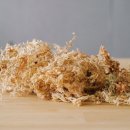 나래유치원 이미지