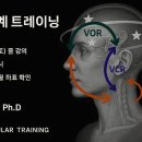 전정계 트레이닝 온라인 줌강의 이미지