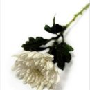 우성 차 병원 이미지