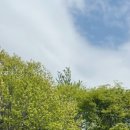 금천구립독산도서관 | 금천구립독산도서관 두번째 방문 📚 조용하고 집중 잘되는 서울 도서관 추천
