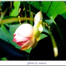 고구낚시터 이미지