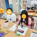 꿀비 Daum카페