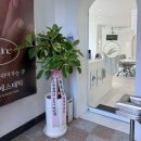 등마루하이퍼(등1) | 창원 용호동 제뉴인에스테틱 윤곽관리 하이퍼소닉 후기