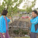 아들딸농장 이미지