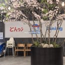 노래하는토마토 | 현대백화점킨텍스점맛집 초이다이닝 흑백요리사 장호준 셰프 은수저 콜라보 메뉴 토마토규동 멘치카츠 후기