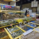 대게수산 | 가락동대게맛집 대흥수산! 제철 대게 포장 후기 🦀