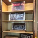 나이아가라오락실 이미지