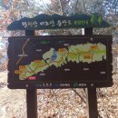 월천1길 이미지