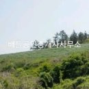 신안부동산공인중개사사무소 이미지