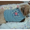 손바느질로 만드는 강아지 옷 이미지