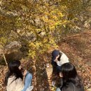더그레이하우스 네이버블로그