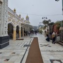 델리의 시크교 사원과 힌두교 사원 이미지