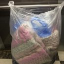 쌍용명품세탁 이미지