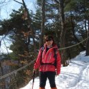 예쁜여우 이미지