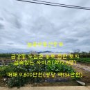 늘봄부동산중개 이미지