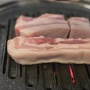 재본소