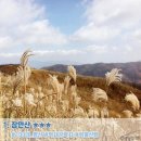 와룡자연휴양림자동차야영장 네이버블로그