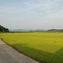 구천초등학교 이미지