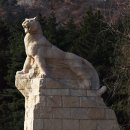 모아떡