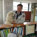 옥구지구대 이미지