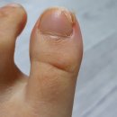 조은정형외과의원 이미지