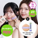 래빗뷰티 마이데일리