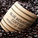 블루마운틴관광호텔 이미지