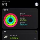 1114 | 🏋🏻‍♀️43 (1114~1205)