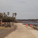 태신해안로 이미지