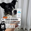 샤워하는 강아지 | 대형견 강아지 귀 세정제 추천 본아페티 이어클리너 후기