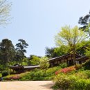 자연휴양림 숲속의집 이미지