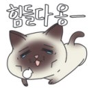 호계매곡지구 이미지