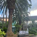 사랑의유람선 | 제주도 미니버스 대절 제주 여행 후기!