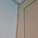 효성 | 아산도배 LX베스티 디아회벽 크림화이트.82601-5 천안차암동효성해링턴.도배후기