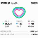 녹색체험마을이태경위원장이제공한양념닭으로번개팅모임을 16,178보12.41km누계3,228,396보에♡♡♡2,439.64km 이미지