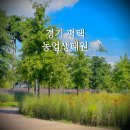 평택 농업생태공원 아이랑 갈만한 곳 생태원 꽃구경 토끼 동물체험