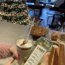 [강남구청] 1209 카페 / 야외 테라스가 예쁜 논현동 베이커리 카페