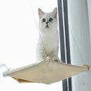 지앤와이 이미지