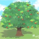 씨앗 속의 사과나무 이미지