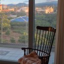 데이드림 | 제주 숙소 추천| 감성터지고 조식도주는 가성비숙소 데이드림 내돈내산 후기