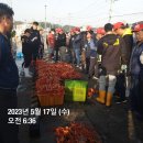 오이소홍게무한리필 이미지