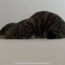 베이징 훠궈