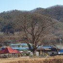 일산3리 이미지