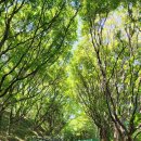 대교어린이공원 이미지