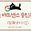 [티스토리 수익화] 한달만에 구글 애드센스 승인된 후기