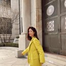 모노브라이트 엘르