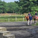 성읍민속마을 이미지